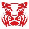 /game/vi/logo/df/group_icons/gg_rtdtiger.png